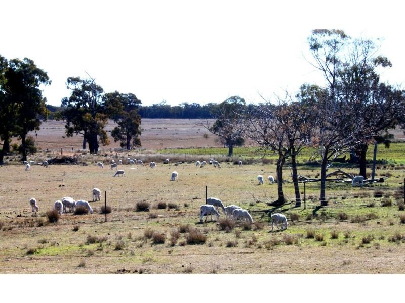 Jones Creek NSW 2830