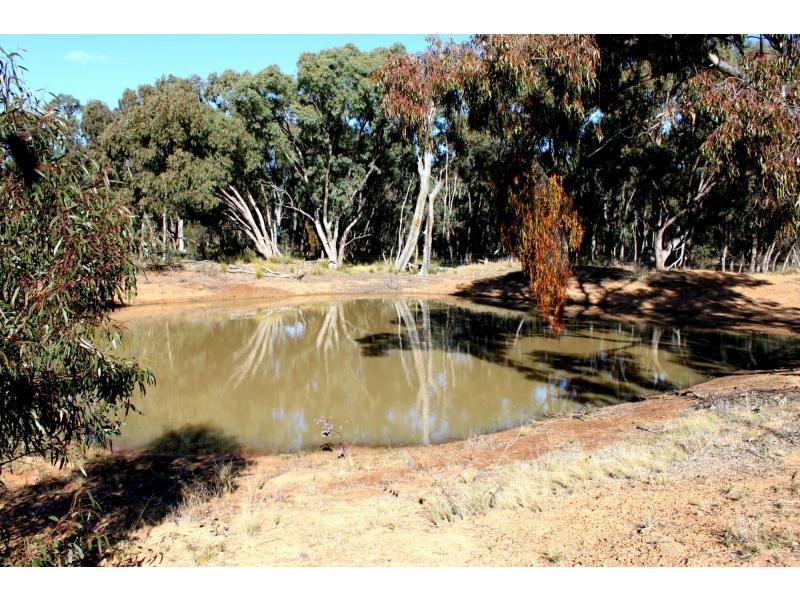 Jones Creek NSW 2830