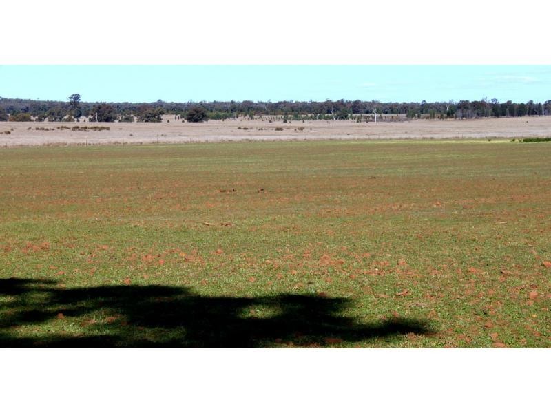 Jones Creek NSW 2830