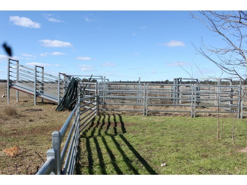 Jones Creek NSW 2830