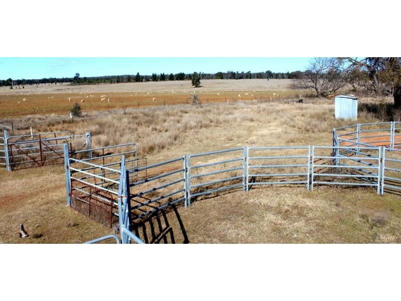 Jones Creek NSW 2830