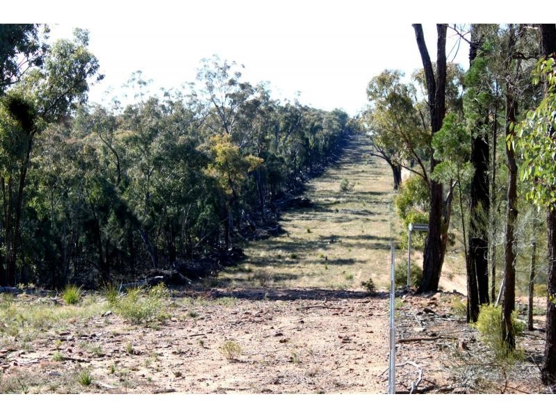 Jones Creek NSW 2830