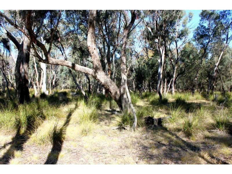 Jones Creek NSW 2830