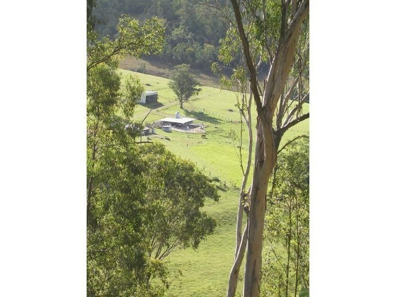 3218 Nowendoc Road, Caffreys Flat NSW 2424