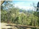 3218 Nowendoc Road, Caffreys Flat NSW 2424