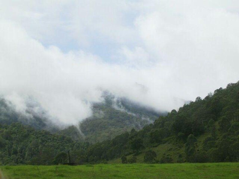 3218 Nowendoc Road, Caffreys Flat NSW 2424