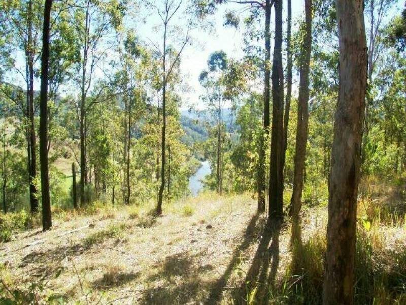 3218 Nowendoc Road, Caffreys Flat NSW 2424