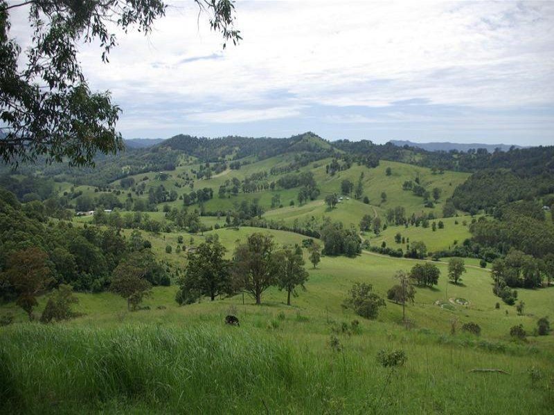 Strathcedar NSW 2429