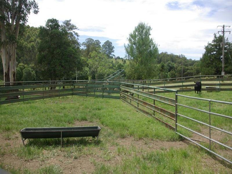 Strathcedar NSW 2429