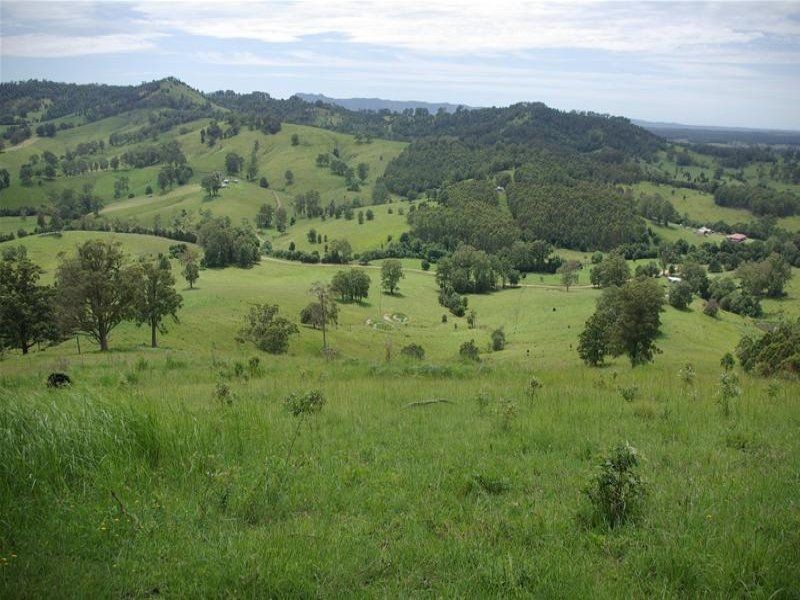 Strathcedar NSW 2429