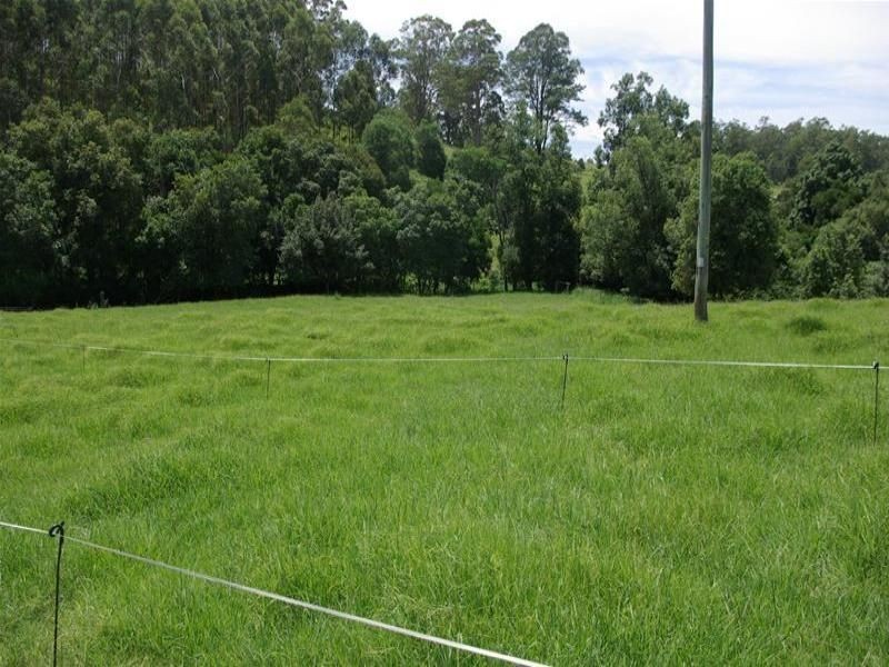 Strathcedar NSW 2429