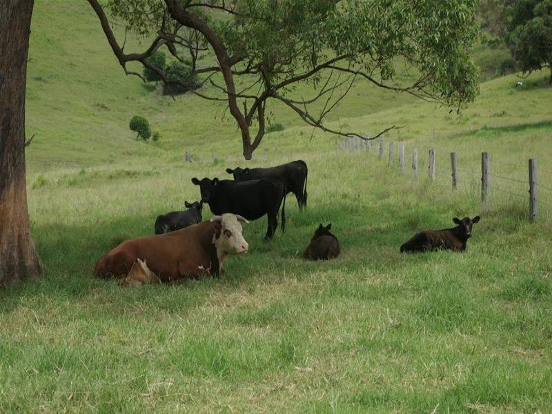 Strathcedar NSW 2429