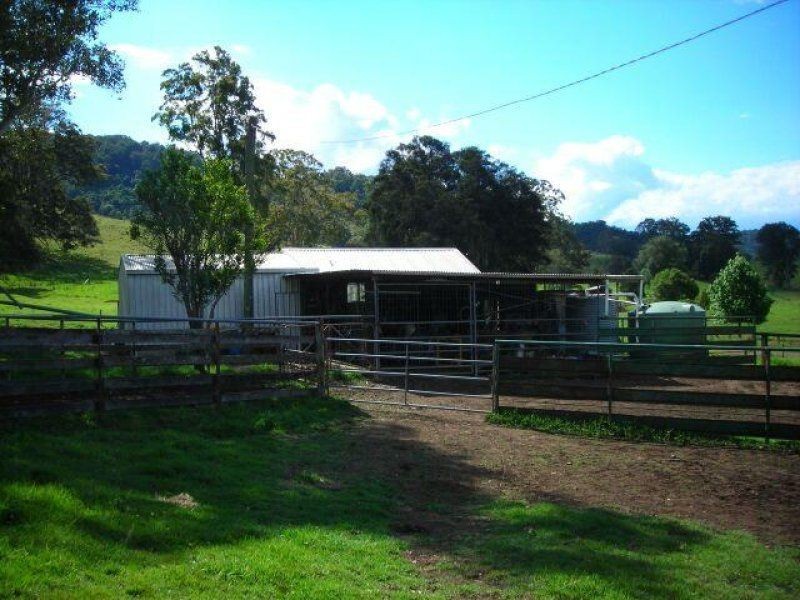 Strathcedar NSW 2429