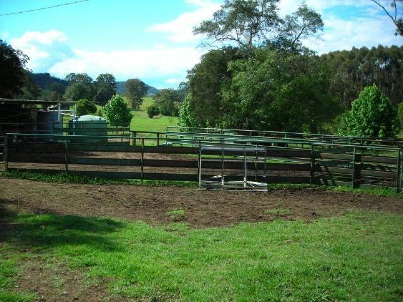 Strathcedar NSW 2429