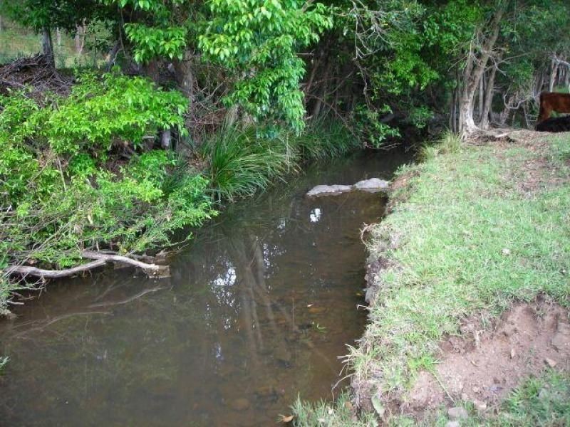 Strathcedar NSW 2429