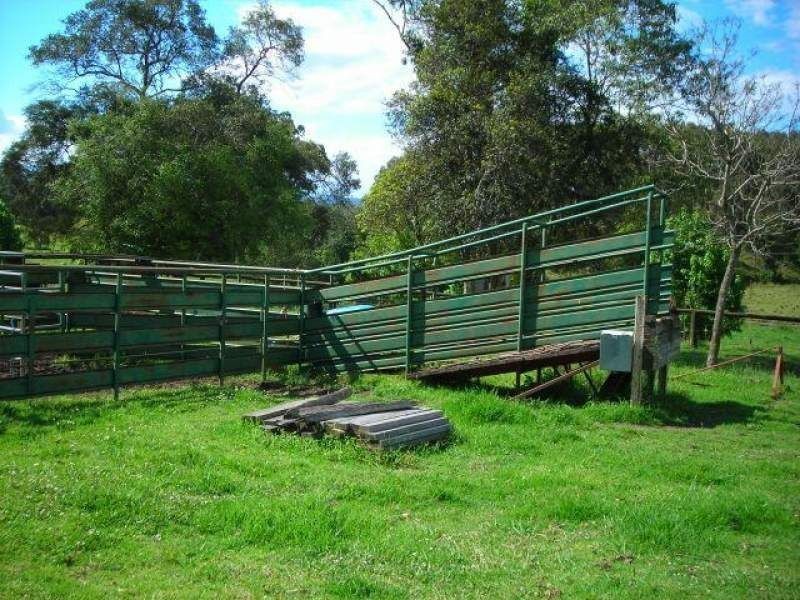 Strathcedar NSW 2429