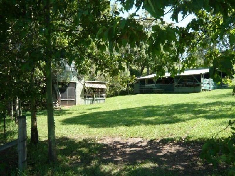 Burrell Creek NSW 2429