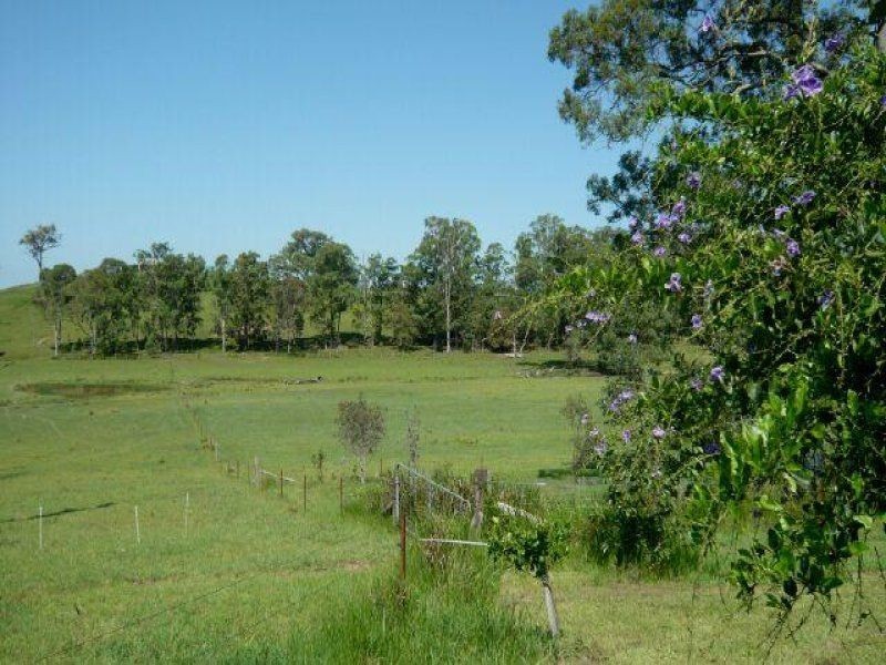 Burrell Creek NSW 2429