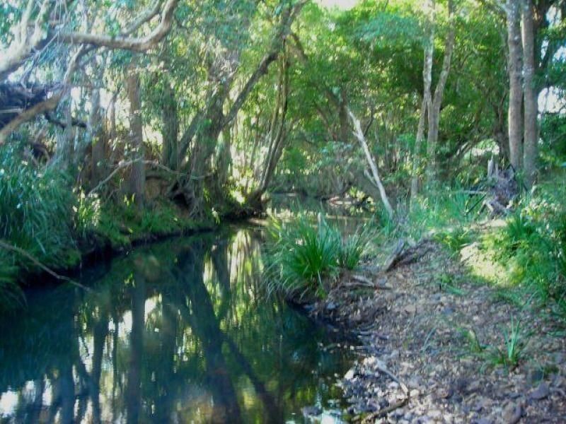 Burrell Creek NSW 2429