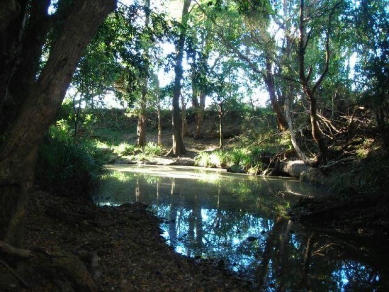 Burrell Creek NSW 2429