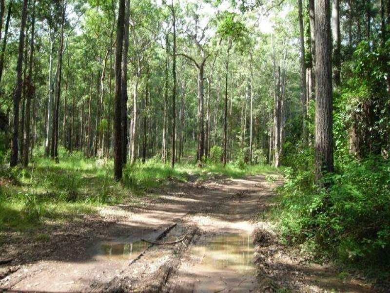 546 Minimbah Road, Minimbah NSW 2312