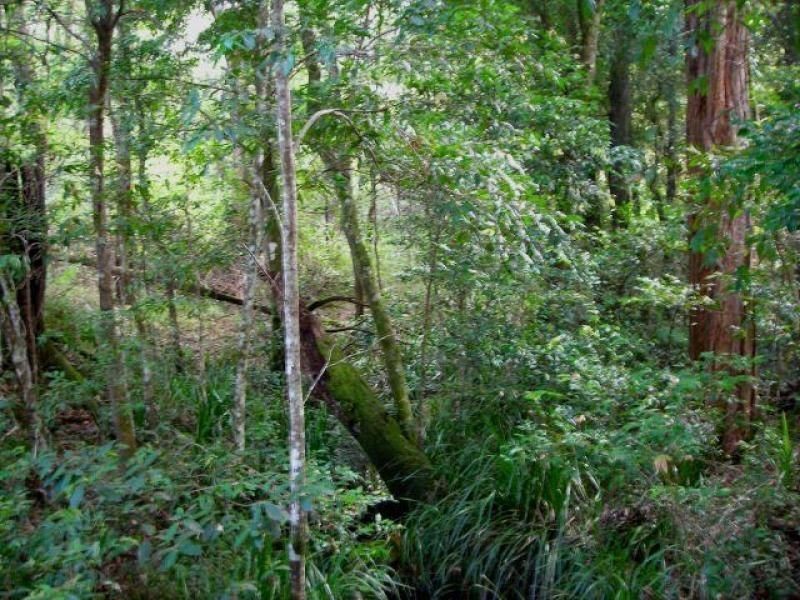 546 Minimbah Road, Minimbah NSW 2312