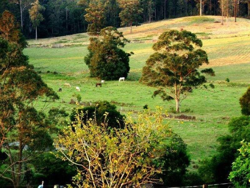 150 Coats Road, Possum Brush NSW 2430