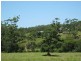 150 Coats Road, Possum Brush NSW 2430