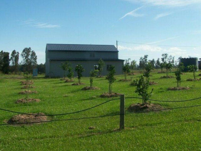 286 Kundle Kundle Road, Cundletown NSW 2430