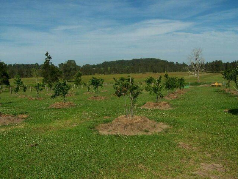 286 Kundle Kundle Road, Cundletown NSW 2430