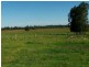 286 Kundle Kundle Road, Cundletown NSW 2430