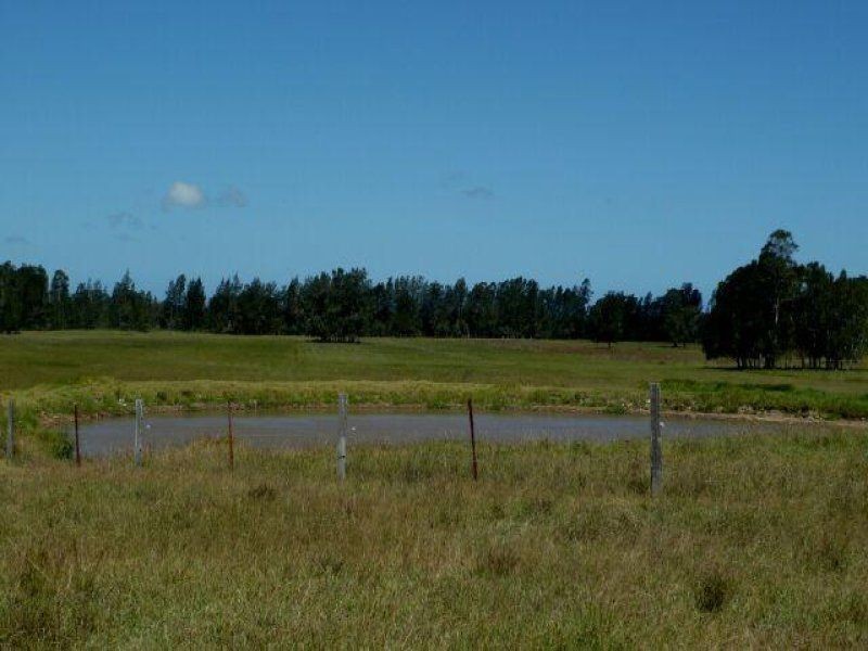 286 Kundle Kundle Road, Cundletown NSW 2430