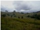1187 Wallanbah Road, Bucca Wauka NSW 2429