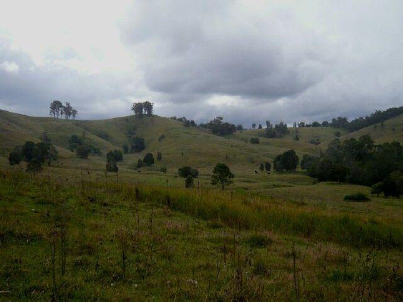 1187 Wallanbah Road, Bucca Wauka NSW 2429