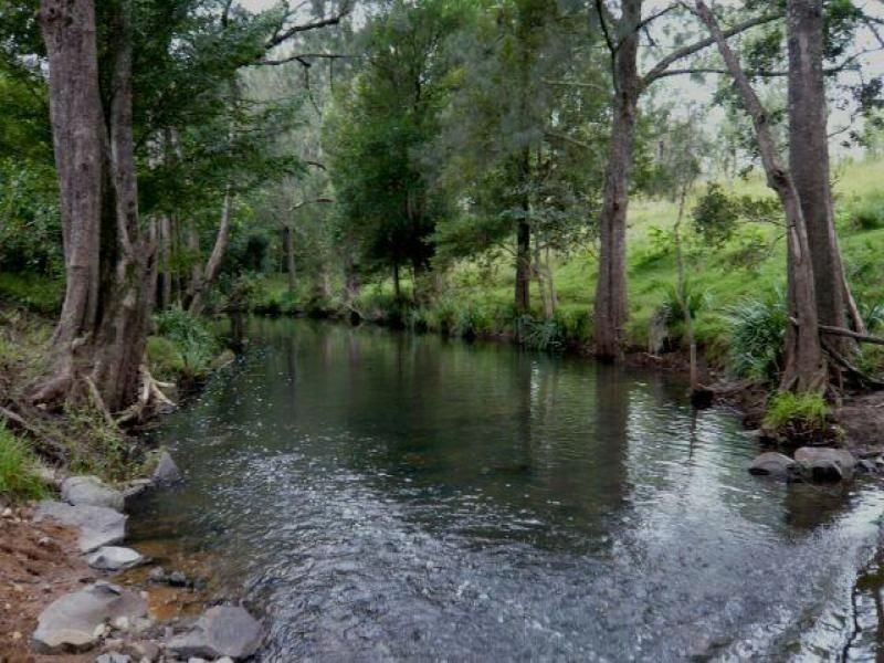 1187 Wallanbah Road, Bucca Wauka NSW 2429