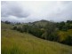 1187 Wallanbah Road, Bucca Wauka NSW 2429