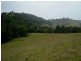1187 Wallanbah Road, Bucca Wauka NSW 2429