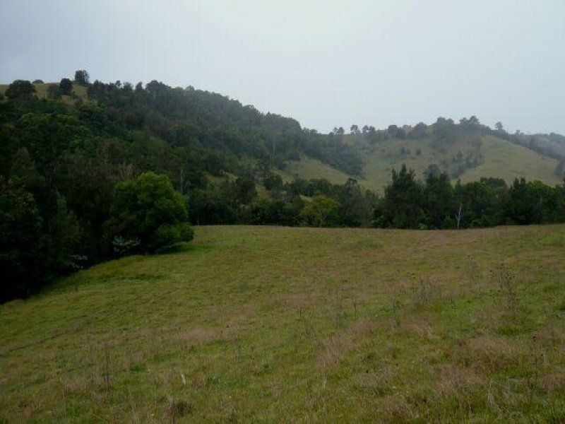 1187 Wallanbah Road, Bucca Wauka NSW 2429