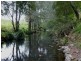 1187 Wallanbah Road, Bucca Wauka NSW 2429