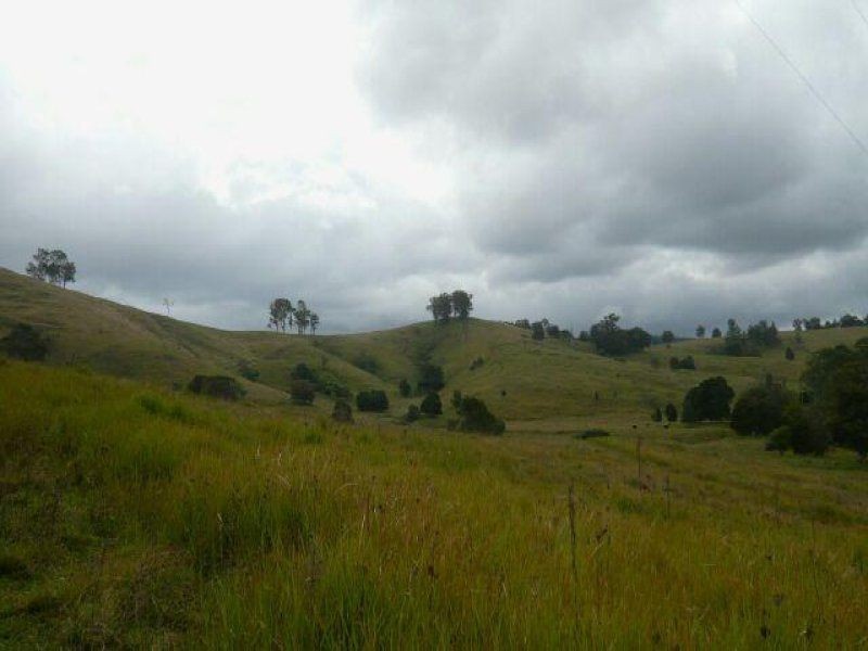 1187 Wallanbah Road, Bucca Wauka NSW 2429