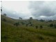 1187 Wallanbah Road, Bucca Wauka NSW 2429