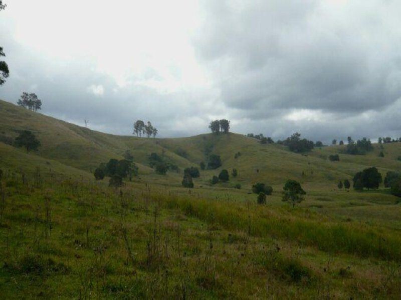 1187 Wallanbah Road, Bucca Wauka NSW 2429