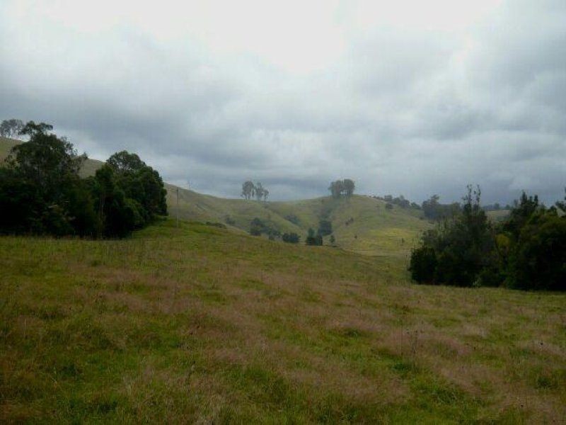 1187 Wallanbah Road, Bucca Wauka NSW 2429