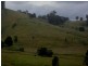 1187 Wallanbah Road, Bucca Wauka NSW 2429