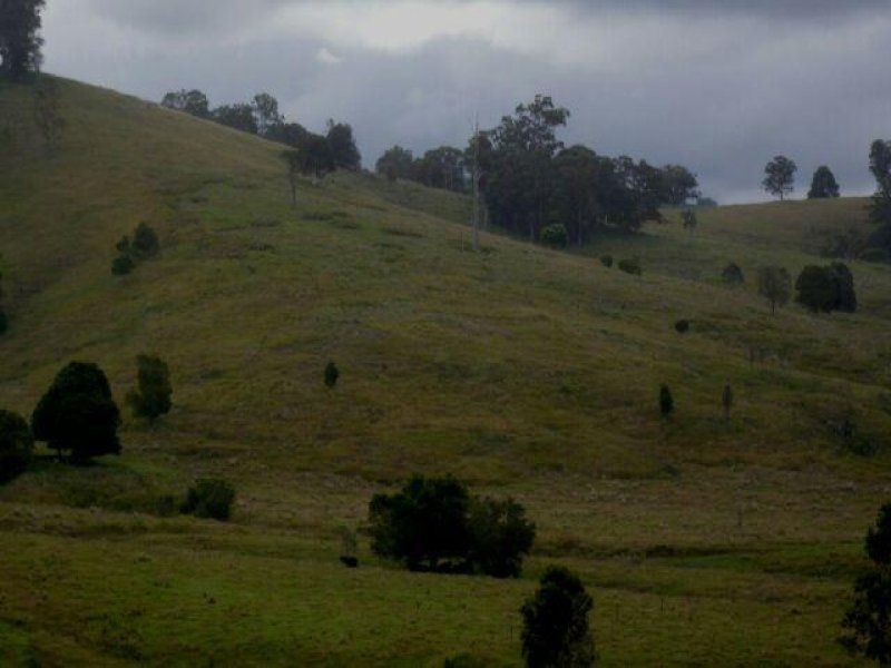 1187 Wallanbah Road, Bucca Wauka NSW 2429