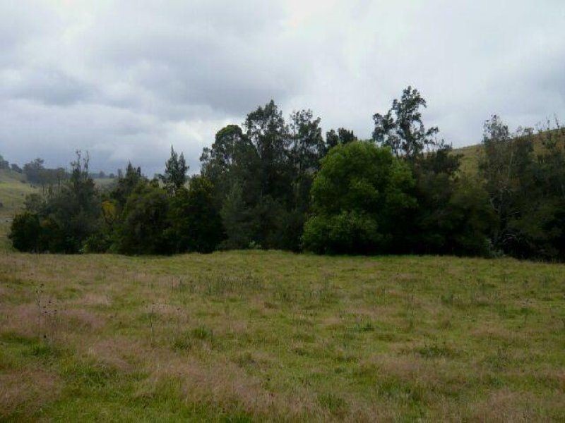 1187 Wallanbah Road, Bucca Wauka NSW 2429