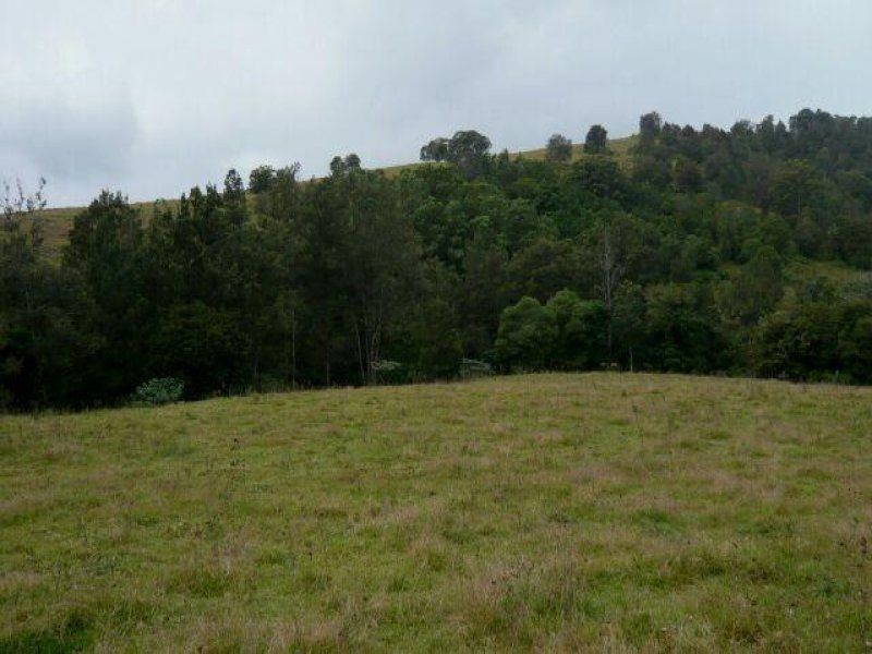 1187 Wallanbah Road, Bucca Wauka NSW 2429