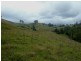 1187 Wallanbah Road, Bucca Wauka NSW 2429
