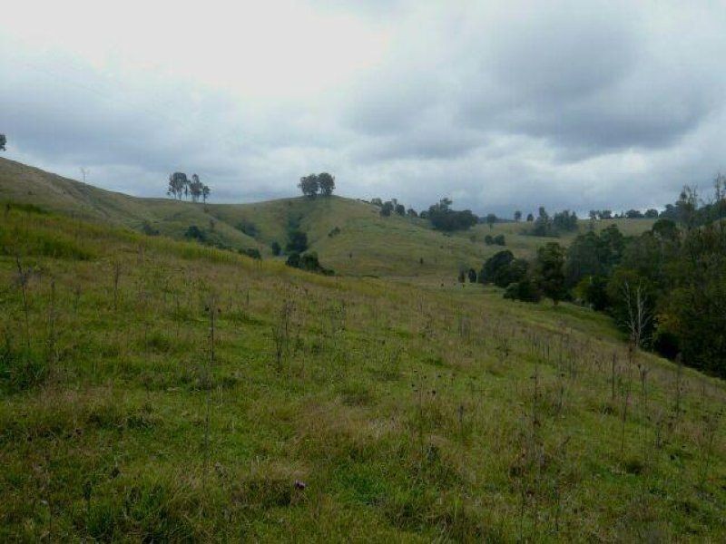 1187 Wallanbah Road, Bucca Wauka NSW 2429