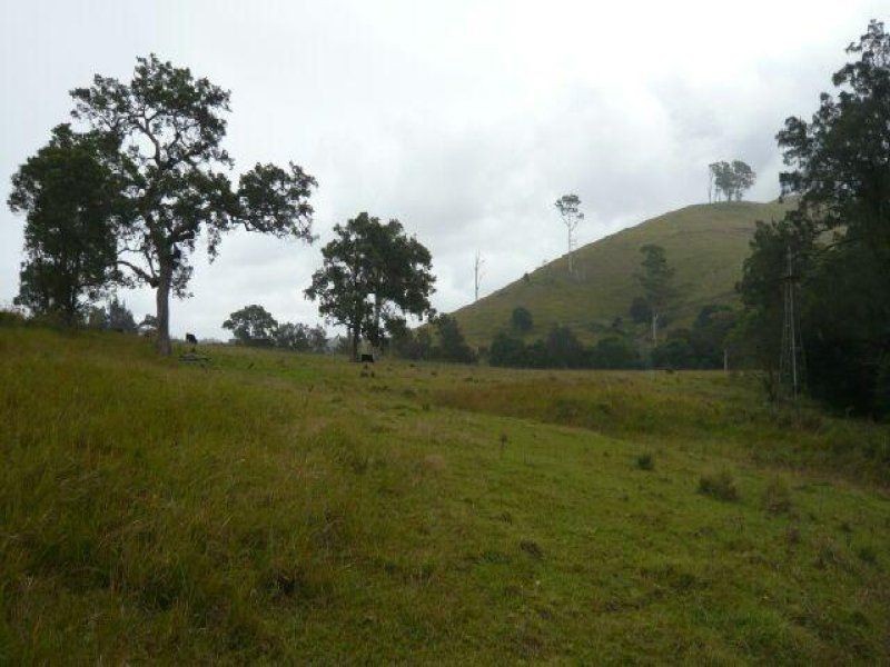 1187 Wallanbah Road, Bucca Wauka NSW 2429